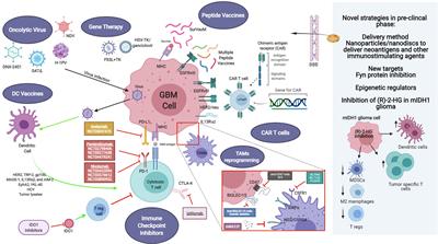 Genetic Alterations in Gliomas Remodel the Tumor Immune Microenvironment and Impact Immune-Mediated Therapies